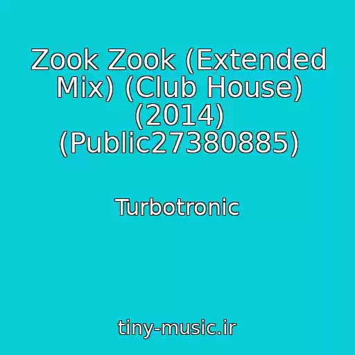 کاور آهنگ Zook Zook (Extended Mix) (Club House) (2014) (Public27380885) از Turbotronic