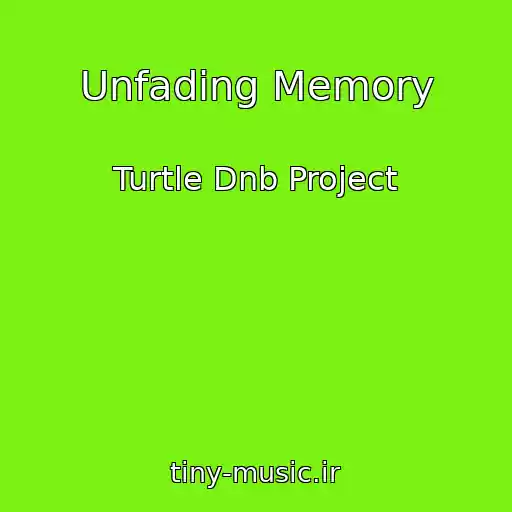 کاور آهنگ Unfading Memory از Turtle Dnb Project