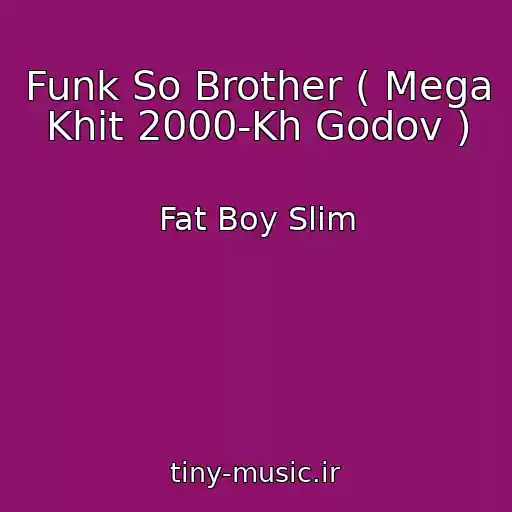 کاور آهنگ Funk So Brother ( Mega Khit 2000-Kh Godov ) از Fat Boy Slim