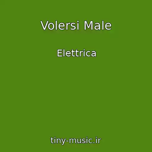 کاور آهنگ Volersi Male از Elettrica