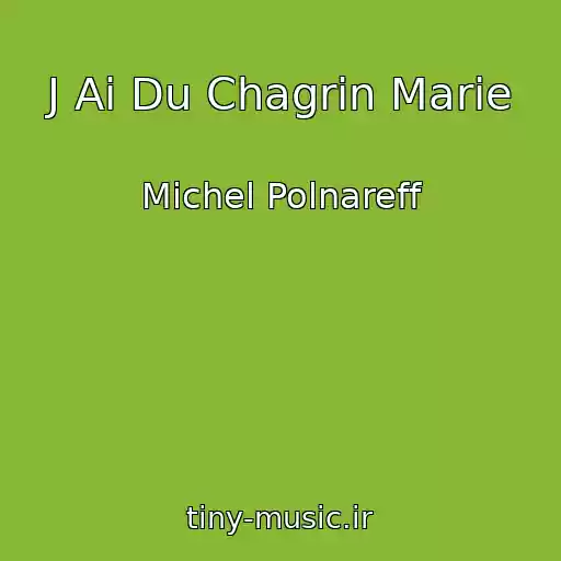کاور آهنگ J Ai Du Chagrin Marie از Michel Polnareff