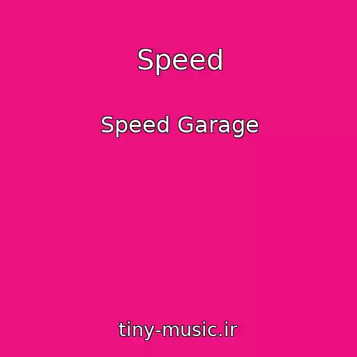 کاور آهنگ Speed از Speed Garage