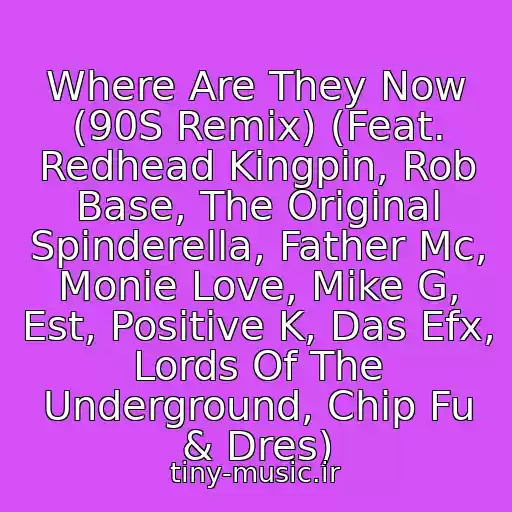 کاور آهنگ Where Are They Now (90S Remix) (Feat. Redhead Kingpin, Rob Base, The Original Spinderella, Father Mc, Monie Love, Mike G, Est, Positive K, Das Efx, Lords Of The Underground, Chip Fu & Dres) از Chip-Fu Aka Jungle Rock Jr.