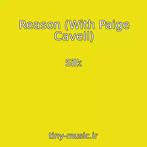 کاور آهنگ Reason (With Paige Cavell) از Silk