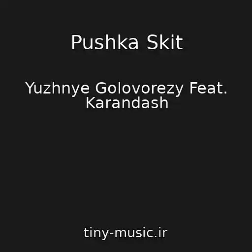 کاور آهنگ Pushka Skit از Yuzhnye Golovorezy Feat. Karandash