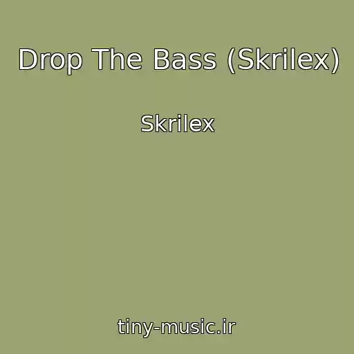 کاور آهنگ Drop The Bass (Skrilex) از Skrilex