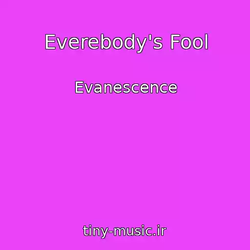 کاور آهنگ Everebody's Fool از Evanescence