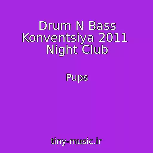 کاور آهنگ Drum N Bass Konventsiya 2011  Night Club از Pups