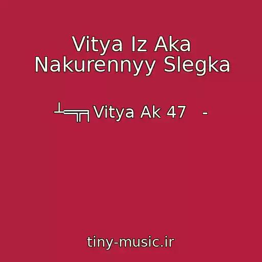 کاور آهنگ Vitya Iz Aka Nakurennyy Slegka از ┴═╦╕Vitya Ak 47   -