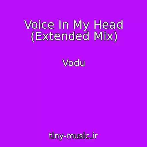 کاور آهنگ Voice In My Head (Extended Mix) از Vodu