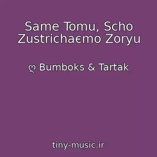 کاور آهنگ Same Tomu, Scho Zustrіchaєmo Zoryu از ღ Bumboks & Tartak