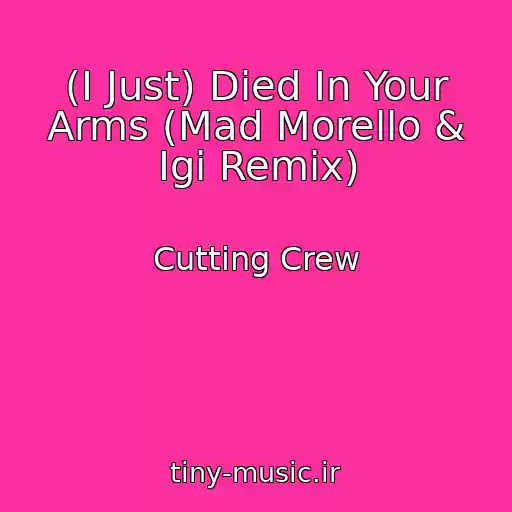 کاور آهنگ (I Just) Died In Your Arms (Mad Morello & Igi Remix) از Cutting Crew