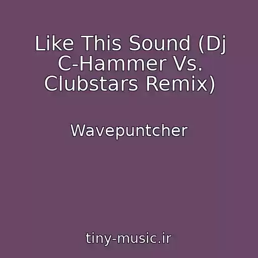 کاور آهنگ Like This Sound (Dj C-Hammer Vs. Clubstars Remix) از Wavepuntcher