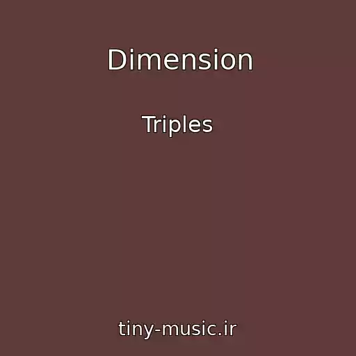 کاور آهنگ Dimension از Triples