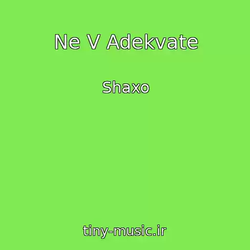 کاور آهنگ Ne V Adekvate از Shaxo