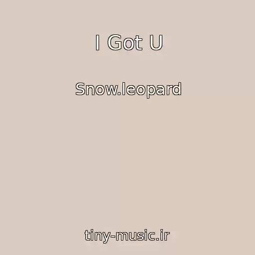 کاور آهنگ I Got U از Snow.leopard