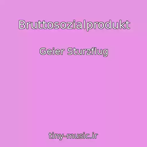 کاور آهنگ Bruttosozialprodukt از Geier Sturzflug