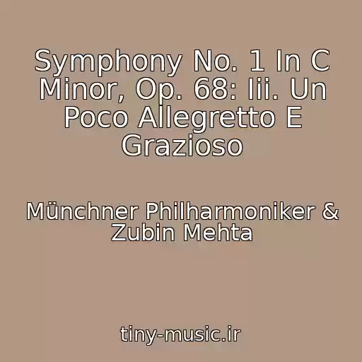 کاور آهنگ Symphony No. 1 In C Minor, Op. 68: Iii. Un Poco Allegretto E Grazioso از Münchner Philharmoniker & Zubin Mehta