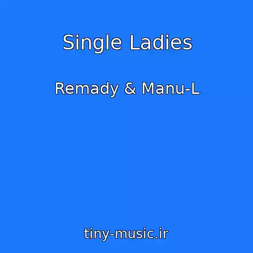 کاور آهنگ Single Ladies از Remady & Manu-L