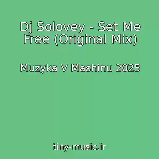 کاور آهنگ Dj Solovey - Set Me Free (Original Mix) از Muzyka V Mashinu 2025