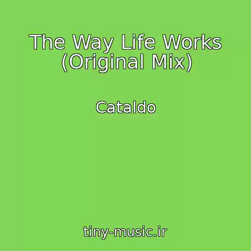 کاور آهنگ The Way Life Works (Original Mix) از Cataldo