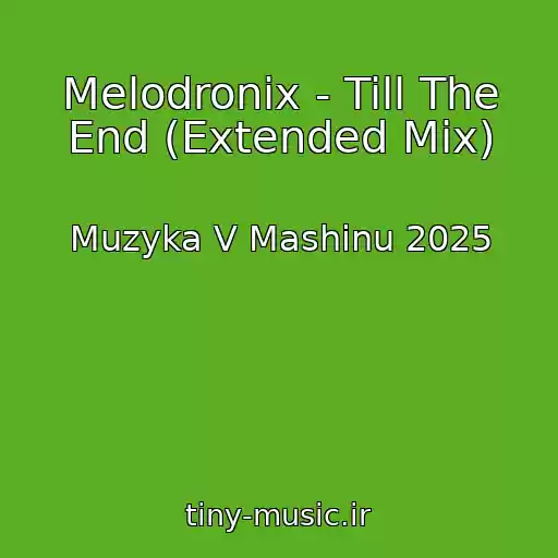 کاور آهنگ Melodronix - Till The End (Extended Mix) از Muzyka V Mashinu 2025