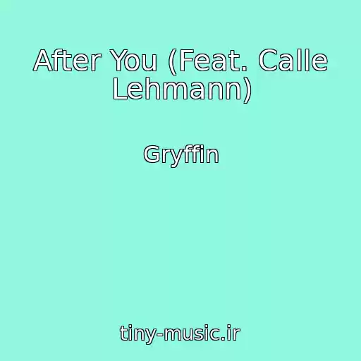 کاور آهنگ After You (Feat. Calle Lehmann) از Gryffin