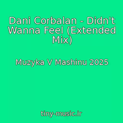 کاور آهنگ Dani Corbalan - Didn't Wanna Feel (Extended Mix) از Muzyka V Mashinu 2025