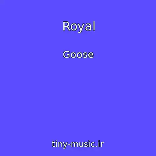 کاور آهنگ Royal از Goose