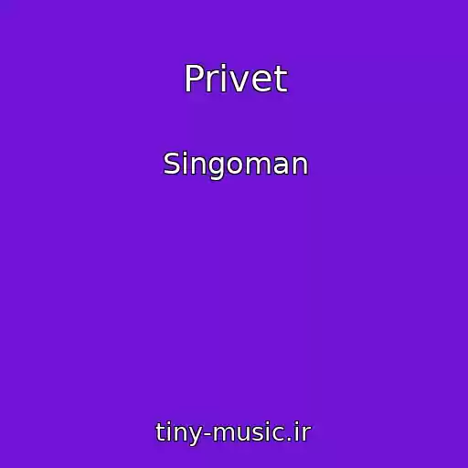 کاور آهنگ Privet از Singoman