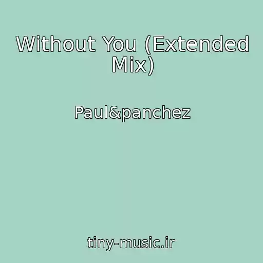 کاور آهنگ Without You (Extended Mix) از Paul&panchez