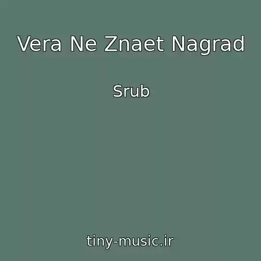 کاور آهنگ Vera Ne Znaet Nagrad از Srub