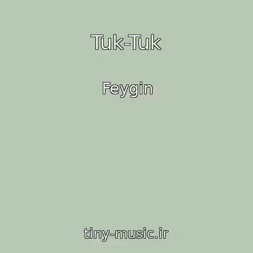 کاور آهنگ Tuk-Tuk از Feygin
