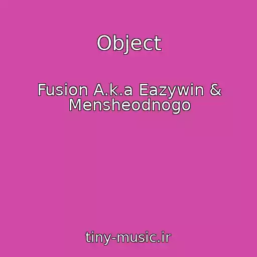 کاور آهنگ Object از Fusion A.k.a Eazywin & Mensheodnogo