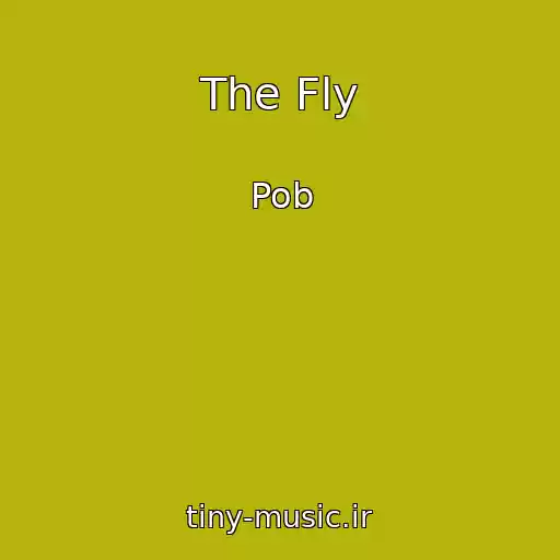 کاور آهنگ The Fly از Pob