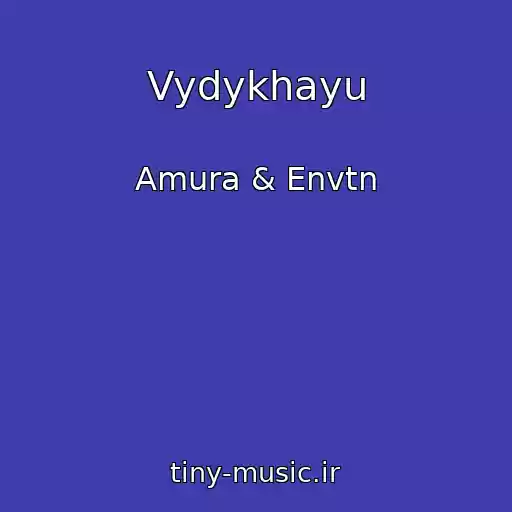 کاور آهنگ Vydykhayu از Amura & Envtn