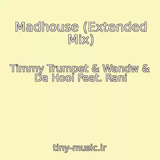 کاور آهنگ Madhouse (Extended Mix) از Timmy Trumpet & Wandw & Da Hool Feat. Rani