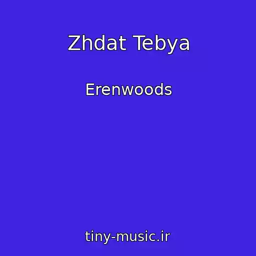 کاور آهنگ Zhdat Tebya از Erenwoods