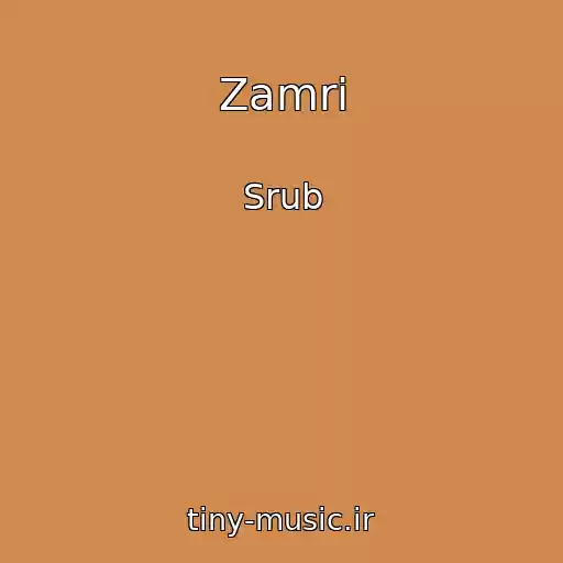 کاور آهنگ Zamri از Srub