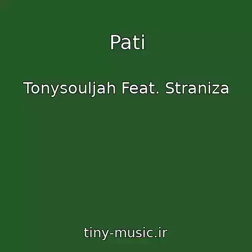 کاور آهنگ Pati از Tonysouljah Feat. Straniza