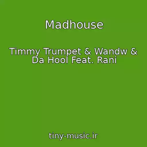 کاور آهنگ Madhouse از Timmy Trumpet & Wandw & Da Hool Feat. Rani
