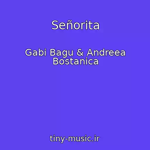 کاور آهنگ Señorita از Gabi Bagu & Andreea Bostanica