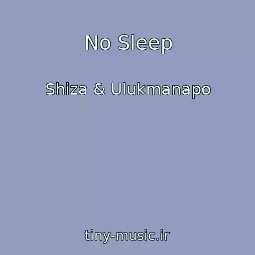 کاور آهنگ No Sleep از Shiza & Ulukmanapo