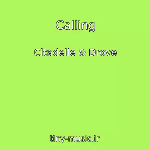 کاور آهنگ Calling از Citadelle & Drove