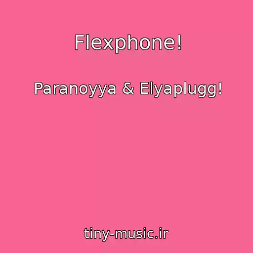 کاور آهنگ Flexphone! از Paranoyya & Elyaplugg!