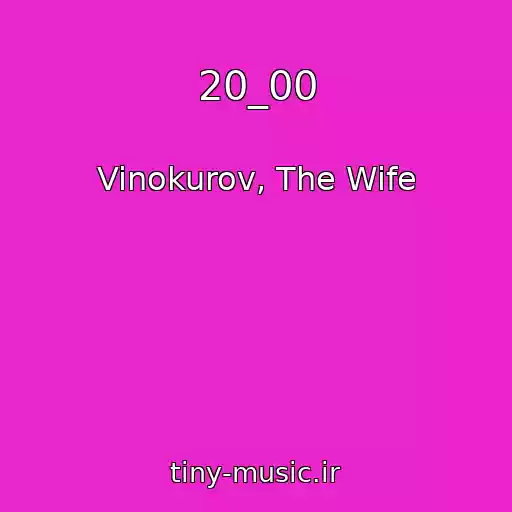کاور آهنگ 20_00 از Vinokurov, The Wife