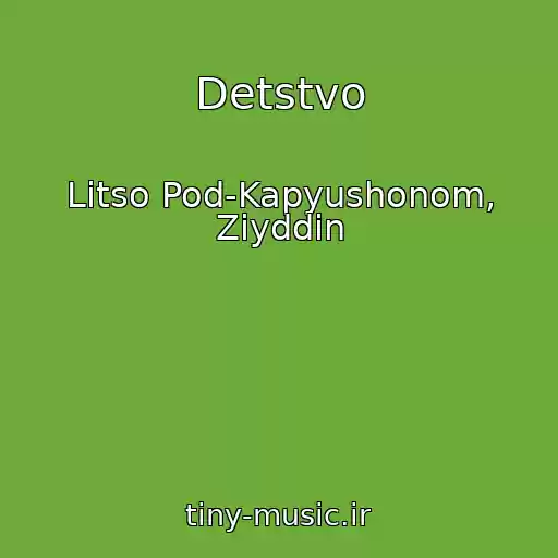 کاور آهنگ Detstvo از Litso Pod-Kapyushonom, Ziyddin