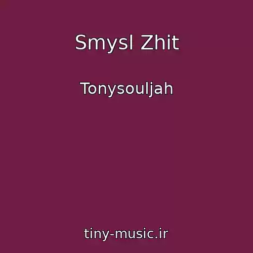 کاور آهنگ Smysl Zhit از Tonysouljah