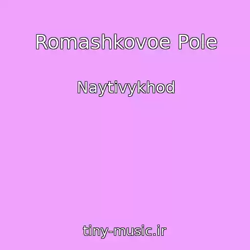 کاور آهنگ Romashkovoe Pole از Naytivykhod