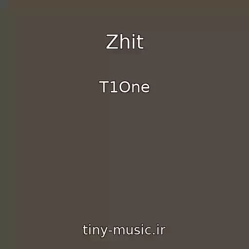 کاور آهنگ Zhit از T1One